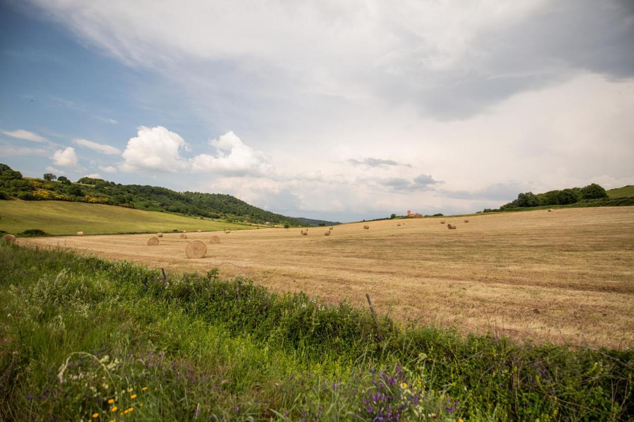 Agriturismo Lago Di Mezzano Valentano Exterior photo